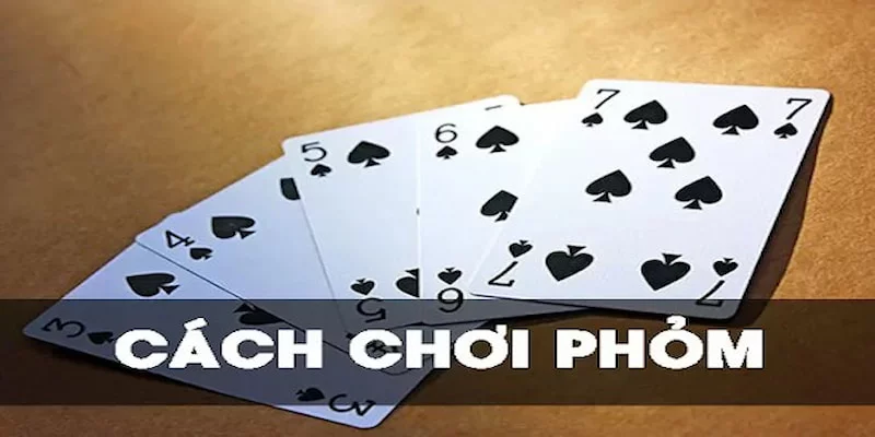 Cách đánh phỏm bịp và các dấu hiệu đi kèm