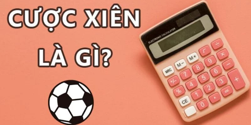 Thông tin tổng quan về cược xiên dành cho tân thủ